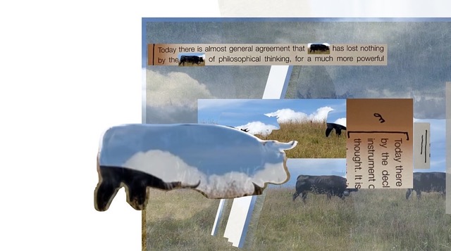 a convalescence of planes (conflicting panaceas)